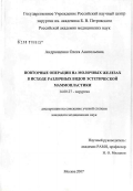 Андрющенко, Олеся Анатольевна. Повторные операции на молочных железах в исходе различных видов эстетической маммопластики: дис. кандидат медицинских наук: 14.00.27 - Хирургия. Москва. 2007. 141 с.