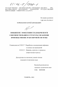 Корепанов, Сергей Евгеньевич. Повышение эффективности добычи нефти совершенствованием структуры управления производственно-транспортной системы: дис. кандидат технических наук: 25.00.17 - Разработка и эксплуатация нефтяных и газовых месторождений. Тюмень. 2002. 129 с.