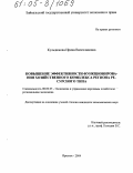 Кульдюкова, Ирина Вячеславовна. Повышение эффективности функционирования хозяйственного комплекса региона ресурсного типа: дис. кандидат экономических наук: 08.00.05 - Экономика и управление народным хозяйством: теория управления экономическими системами; макроэкономика; экономика, организация и управление предприятиями, отраслями, комплексами; управление инновациями; региональная экономика; логистика; экономика труда. Иркутск. 2004. 170 с.