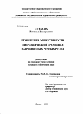 Суйкова, Наталья Валерьевна. Повышение эффективности гидравлической промывки загрязняемых речных русел: дис. кандидат технических наук: 05.23.16 - Гидравлика и инженерная гидрология. Москва. 2009. 149 с.
