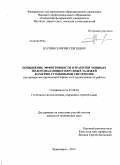 Курчин, Георгий Сергеевич. Повышение эффективности отработки мощных пологопадающих нерудных залежей камерно-столбовыми системами: на примере месторождений Норильского промышленного района: дис. кандидат технических наук: 25.00.22 - Геотехнология(подземная, открытая и строительная). Красноярск. 2010. 165 с.