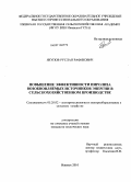 Якупов, Руслан Рафикович. Повышение эффективности пиролиза возобновляемых источников энергии в сельскохозяйственном производстве: дис. кандидат технических наук: 05.20.02 - Электротехнологии и электрооборудование в сельском хозяйстве. Ижевск. 2010. 134 с.