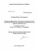 Ягнищак, Игорь Александрович. Повышение эффективности судоходства по внутренним водным путям Польши на основе интегрированной региональной системы управления движением судов: дис. доктор технических наук: 05.22.17 - Водные пути сообщения и гидрография. Санкт-Петербург. 2005. 128 с.