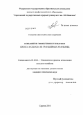 Топырин, Николай Александрович. Повышение эффективности выемки силоса и сенажа из траншейных хранилищ: дис. кандидат технических наук: 05.20.01 - Технологии и средства механизации сельского хозяйства. Саратов. 2010. 170 с.