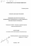 Гончаров, Александр Германович. Повышение конкурентоспособности промышленного предприятия на основе развития его образовательного потенциала: дис. кандидат экономических наук: 08.00.05 - Экономика и управление народным хозяйством: теория управления экономическими системами; макроэкономика; экономика, организация и управление предприятиями, отраслями, комплексами; управление инновациями; региональная экономика; логистика; экономика труда. Челябинск. 2000. 220 с.