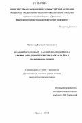 Кичигин, Дмитрий Евгеньевич. Поздний бронзовый - ранний железный века северо-западного побережья озера Байкал: по материалам стоянок: дис. кандидат исторических наук: 07.00.06 - Археология. Иркутск. 2012. 426 с.