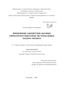 Чкалова Дарья Геннадьевна. Применение амплитудно-фазовых операторов в некоторых экстремальных задачах анализа: дис. кандидат наук: 00.00.00 - Другие cпециальности. ФГАОУ ВО «Казанский (Приволжский) федеральный университет». 2023. 117 с.