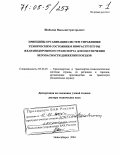 Шабалин, Николай Григорьевич. Принципы организации систем управления техническим состоянием инфраструктуры железнодорожного транспорта для обеспечения безопасности движения поездов: дис. доктор технических наук: 05.22.01 - Транспортные и транспортно-технологические системы страны, ее регионов и городов, организация производства на транспорте. Новосибирск. 2004. 499 с.