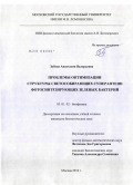 Зобова, Анастасия Валерьевна. Проблемы оптимизации структуры светособирающих суперантенн фотосинтезирующих зеленых бактерий: дис. кандидат биологических наук: 03.01.02 - Биофизика. Москва. 2010. 137 с.