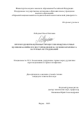 Лебедева Олеся Олеговна. Прогноз деформационных процессов междушахтных целиков калийного месторождения на основе комплекса натурных исследований: дис. кандидат наук: 00.00.00 - Другие cпециальности. ФГБОУ ВО «Санкт-Петербургский горный университет императрицы Екатерины II». 2024. 131 с.