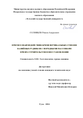 Соловьев Роман Андреевич. Прогноз взаимодействия крепи вертикальных стволов калийных рудников с породными массивами при их строительстве и восстановлении: дис. кандидат наук: 00.00.00 - Другие cпециальности. ФГБОУ ВО «Тульский государственный университет». 2024. 182 с.