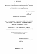 Марков, Николай Александрович. Прогнозирующее инверсное нейроуправление в условиях возмущений для позиционно-следящего пневмопривода: дис. кандидат технических наук: 05.13.06 - Автоматизация и управление технологическими процессами и производствами (по отраслям). Владивосток. 2012. 125 с.