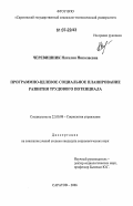 Черевишник, Наталия Николаевна. Программно-целевое социальное планирование развития трудового потенциала: дис. кандидат социологических наук: 22.00.08 - Социология управления. Саратов. 2006. 153 с.