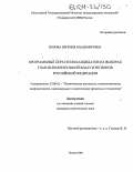 Попова, Евгения Владимировна. Программные стратегии кандидатов на выборах глав исполнительной власти регионов Российской Федерации: дис. кандидат политических наук: 23.00.02 - Политические институты, этнополитическая конфликтология, национальные и политические процессы и технологии. Москва. 2003. 155 с.