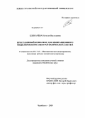 Клиначёва, Наталья Васильевна. Программный комплекс для имитационного моделирования электротехнических систем: дис. кандидат технических наук: 05.13.18 - Математическое моделирование, численные методы и комплексы программ. Челябинск. 2009. 150 с.