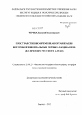 Черных, Дмитрий Владимирович. Пространственно-временная организация внутриконтинентальных горных ландшафтов: на примере Русского Алтая: дис. доктор географических наук: 25.00.23 - Физическая география и биогеография, география почв и геохимия ландшафтов. Барнаул. 2012. 363 с.