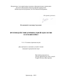 Ильницкий Александр Сергеевич. Противодействие криминальной идеологии в сети Интернет: дис. кандидат наук: 00.00.00 - Другие cпециальности. ФГКОУ ВО «Краснодарский университет Министерства внутренних дел Российской Федерации». 2022. 213 с.