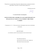 Селезнева Ксения Александровна. Психологические особенности адаптации менеджера по продажам как субъекта труда в новых социальных условиях: дис. кандидат наук: 00.00.00 - Другие cпециальности. ФГБОУ ВО «Тверской государственный университет». 2024. 251 с.