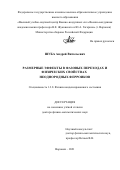 Шуба Андрей Витальевич. Размерные эффекты в фазовых переходах и физических свойствах неоднородных ферроиков: дис. доктор наук: 00.00.00 - Другие cпециальности. ФГБОУ ВО «Воронежский государственный технический университет». 2022. 392 с.