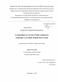 Коршунов, Андрей Владимирович. Размерные и структурные эффекты в процессах окисления металлов: дис. доктор химических наук: 02.00.04 - Физическая химия. Кемерово. 2013. 394 с.