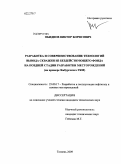 Обиднов, Виктор Борисович. Разработка и совершенствование технологий вывода скважин из бездействующего фонда на поздней стадии разработки месторождений: на примере Ямбургского ГКМ: дис. кандидат технических наук: 25.00.17 - Разработка и эксплуатация нефтяных и газовых месторождений. Тюмень. 2009. 143 с.