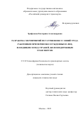 Трифонова Екатерина Александровна. Разработка мероприятий по улучшению условий труда работников при перевозке осужденных и лиц, находящихся под стражей, железнодорожным транспортом: дис. кандидат наук: 00.00.00 - Другие cпециальности. ФГАОУ ВО «Российский университет транспорта». 2022. 306 с.