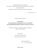 Коваль Виктор Анатольевич. Разработка организационно-экономического механизма управления конверсией радиочастотного спектра: дис. кандидат наук: 08.00.05 - Экономика и управление народным хозяйством: теория управления экономическими системами; макроэкономика; экономика, организация и управление предприятиями, отраслями, комплексами; управление инновациями; региональная экономика; логистика; экономика труда. ФГБОУ ВО «Московский государственный технический университет имени Н.Э. Баумана (национальный исследовательский университет)». 2019. 198 с.