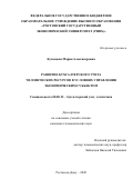 Кузнецова Мария Александровна. Развитие бухгалтерского учета человеческих ресурсов в условиях управления экономическим субъектом: дис. кандидат наук: 08.00.12 - Бухгалтерский учет, статистика. ФГБОУ ВО «Ростовский государственный экономический университет (РИНХ)». 2020. 308 с.