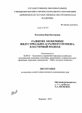 Разгоняева, Вера Викторовна. Развитие экономики индустриально-аграрного региона: кластерный подход: дис. кандидат экономических наук: 08.00.05 - Экономика и управление народным хозяйством: теория управления экономическими системами; макроэкономика; экономика, организация и управление предприятиями, отраслями, комплексами; управление инновациями; региональная экономика; логистика; экономика труда. Воронеж. 2010. 172 с.