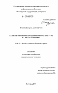 Шкарупа, Екатерина Александровна. Развитие финансово-кредитной инфраструктуры малого агробизнеса: дис. кандидат экономических наук: 08.00.10 - Финансы, денежное обращение и кредит. Волгоград. 2007. 225 с.