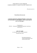 Репин, Никита Васильевич. Развитие информационной инфраструктуры управления организацией с использованием ИТ-аутсорсинга: дис. кандидат наук: 08.00.05 - Экономика и управление народным хозяйством: теория управления экономическими системами; макроэкономика; экономика, организация и управление предприятиями, отраслями, комплексами; управление инновациями; региональная экономика; логистика; экономика труда. Пермь. 2018. 209 с.