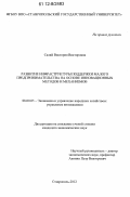 Салий, Виктория Викторовна. Модернизация инновационных механизмов развития инфраструктуры поддержки малого бизнеса: дис. кандидат экономических наук: 08.00.05 - Экономика и управление народным хозяйством: теория управления экономическими системами; макроэкономика; экономика, организация и управление предприятиями, отраслями, комплексами; управление инновациями; региональная экономика; логистика; экономика труда. Ставрополь. 2012. 155 с.