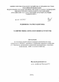 Родионова, Мария Рашитовна. Развитие инфраструктуры рынка зерна: дис. кандидат экономических наук: 08.00.05 - Экономика и управление народным хозяйством: теория управления экономическими системами; макроэкономика; экономика, организация и управление предприятиями, отраслями, комплексами; управление инновациями; региональная экономика; логистика; экономика труда. Москва. 2010. 209 с.