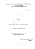 Цыгляну Павел Павлович. Развитие инструментария управления инжиниринговыми проектами в нефтегазовой компании: дис. кандидат наук: 00.00.00 - Другие cпециальности. ФГБОУ ВО «Санкт-Петербургский горный университет». 2023. 173 с.