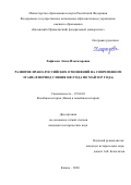 Хафизова Элиза Ильгизаровна. Развитие ирано-российских отношений на современном этапе (в период с июня 2001 года по май 2017 года): дис. кандидат наук: 07.00.03 - Всеобщая история (соответствующего периода). ФГАОУ ВО «Казанский (Приволжский) федеральный университет». 2021. 271 с.