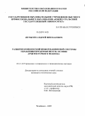 Шурыгин, Андрей Николаевич. Развитие комплексной информационной системы управления предприятием на основе архитектурного подхода: дис. кандидат технических наук: 05.13.10 - Управление в социальных и экономических системах. Челябинск. 2009. 163 с.