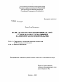 Косых, Егор Валерьевич. Развитие малого предпринимательства в регионе в период глобализации: на материалах Московской области: дис. кандидат экономических наук: 08.00.05 - Экономика и управление народным хозяйством: теория управления экономическими системами; макроэкономика; экономика, организация и управление предприятиями, отраслями, комплексами; управление инновациями; региональная экономика; логистика; экономика труда. Москва. 2009. 186 с.