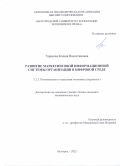 Тарасова Ксения Валентиновна. Развитие маркетинговой информационной системы организации в цифровой среде: дис. кандидат наук: 00.00.00 - Другие cпециальности. ФГАОУ ВО «Белгородский государственный национальный исследовательский университет». 2023. 238 с.