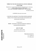 Полякова, Виктория Анатольевна. Развитие механизмов управления инновационной инфраструктурой в обеспечении экономической безопасности России: дис. кандидат экономических наук: 08.00.05 - Экономика и управление народным хозяйством: теория управления экономическими системами; макроэкономика; экономика, организация и управление предприятиями, отраслями, комплексами; управление инновациями; региональная экономика; логистика; экономика труда. Москва. 2013. 200 с.