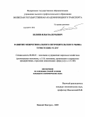 Беляев, Илья Валерьевич. Развитие межрегионального потребительского рынка туристских услуг: дис. кандидат экономических наук: 08.00.05 - Экономика и управление народным хозяйством: теория управления экономическими системами; макроэкономика; экономика, организация и управление предприятиями, отраслями, комплексами; управление инновациями; региональная экономика; логистика; экономика труда. Нижний Новгород. 2009. 165 с.