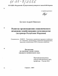 Кутляев, Андрей Иванович. Развитие организационно-экономического механизма хозяйствования в пчеловодстве: На примере Республики Мордовия: дис. кандидат экономических наук: 08.00.05 - Экономика и управление народным хозяйством: теория управления экономическими системами; макроэкономика; экономика, организация и управление предприятиями, отраслями, комплексами; управление инновациями; региональная экономика; логистика; экономика труда. Саранск. 2005. 220 с.