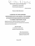 Эмануэль, Иван Вадимович. Развитие организационно-экономического механизма управления крупной промышленной компанией в условиях рыночной среды: дис. кандидат экономических наук: 08.00.05 - Экономика и управление народным хозяйством: теория управления экономическими системами; макроэкономика; экономика, организация и управление предприятиями, отраслями, комплексами; управление инновациями; региональная экономика; логистика; экономика труда. Москва. 2004. 146 с.