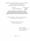 Селюгина, Олеся Николаевна. Развитие подходов к формированию инновационной среды как основы устойчивого развития хозяйствующих субъектов в строительстве: дис. кандидат наук: 08.00.05 - Экономика и управление народным хозяйством: теория управления экономическими системами; макроэкономика; экономика, организация и управление предприятиями, отраслями, комплексами; управление инновациями; региональная экономика; логистика; экономика труда. Иркутск. 2014. 121 с.