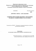 Дмитриев, Кирилл Александрович. Развитие программно-целевого управления малым и средним бизнесом в регионе: дис. кандидат наук: 08.00.05 - Экономика и управление народным хозяйством: теория управления экономическими системами; макроэкономика; экономика, организация и управление предприятиями, отраслями, комплексами; управление инновациями; региональная экономика; логистика; экономика труда. Москва. 2013. 191 с.