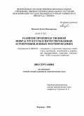 Попкова, Елена Викторовна. Развитие производственной инфраструктуры в интегрированных агропромышленных формированиях: дис. кандидат экономических наук: 08.00.05 - Экономика и управление народным хозяйством: теория управления экономическими системами; макроэкономика; экономика, организация и управление предприятиями, отраслями, комплексами; управление инновациями; региональная экономика; логистика; экономика труда. Воронеж. 2010. 266 с.