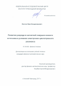 Изотов, Иван Владимирович. Развитие разряда в магнитной ловушке ионного источника в условиях электронно-циклотронного резонанса: дис. кандидат наук: 01.04.08 - Физика плазмы. Нижний Новгород. 2017. 0 с.