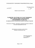 Сибаева, Гульназ Рашитовна. Развитие системы государственного регулирования и поддержки предпринимательства: на примере Камского экономического района Республики Татарстан: дис. кандидат экономических наук: 08.00.05 - Экономика и управление народным хозяйством: теория управления экономическими системами; макроэкономика; экономика, организация и управление предприятиями, отраслями, комплексами; управление инновациями; региональная экономика; логистика; экономика труда. Уфа. 2010. 205 с.