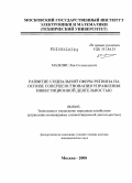 Мазелис, Лев Соломонович. Развитие социальной сферы региона на основе совершенствования управления инвестиционной деятельностью: дис. доктор экономических наук: 08.00.05 - Экономика и управление народным хозяйством: теория управления экономическими системами; макроэкономика; экономика, организация и управление предприятиями, отраслями, комплексами; управление инновациями; региональная экономика; логистика; экономика труда. Москва. 2008. 366 с.