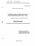 Кабанов, Александр Николаевич. Развитие социальной сферы села Ростовской области в 1965-1991 гг.: дис. кандидат исторических наук: 07.00.02 - Отечественная история. Зерноград. 2005. 257 с.