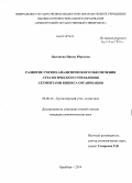 Цыганова, Ирина Юрьевна. Развитие учетно-аналитического обеспечения стратегического управления сегментами бизнеса организации: дис. кандидат наук: 08.00.12 - Бухгалтерский учет, статистика. Оренбург. 2014. 226 с.